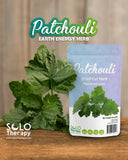 Solo Therapy Patchouli : ambiance ritualiste pour vos rituels et autels