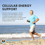 Source Naturals Life Force: boîte sur plan de travail avec fruits.