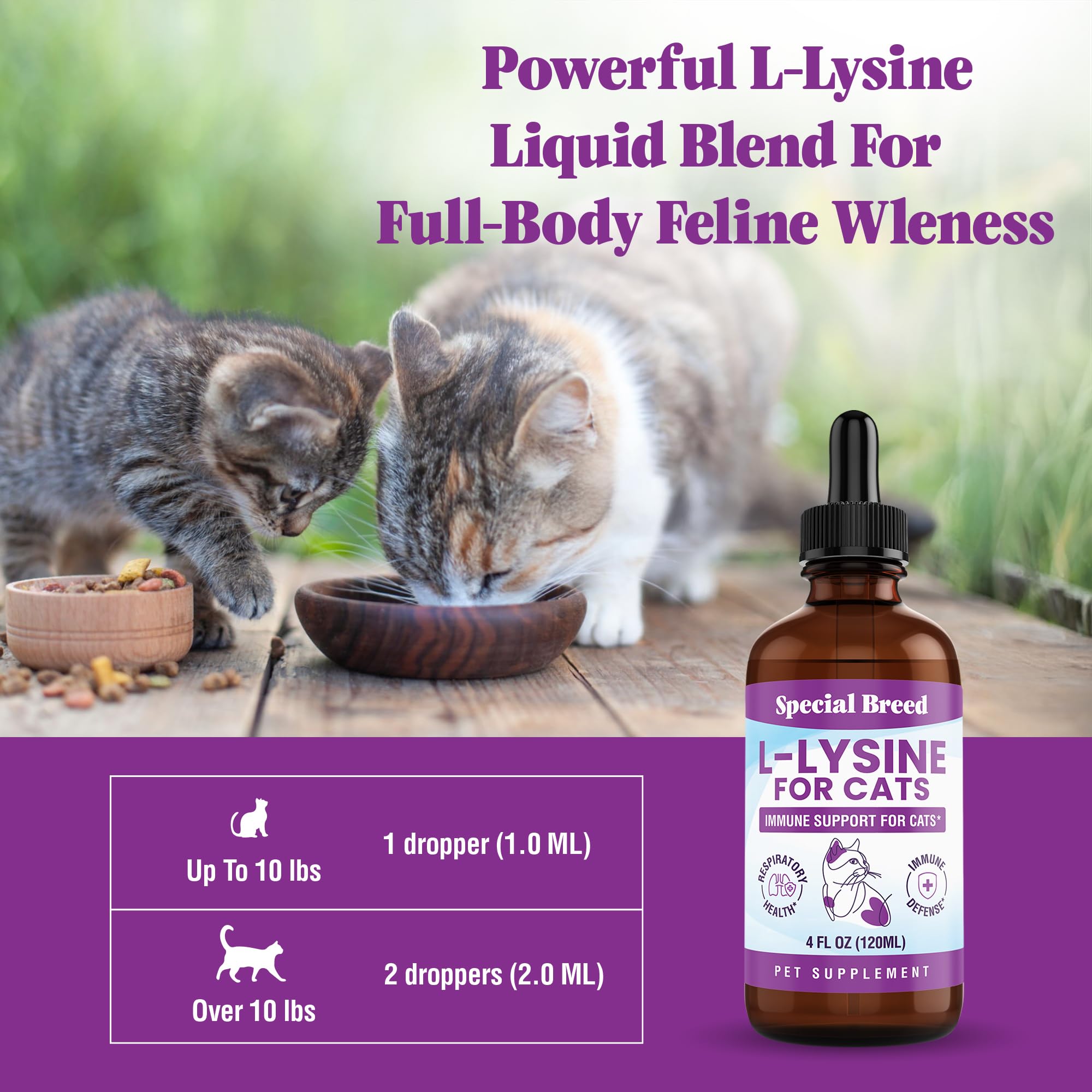 Special Breed L-Lysine chat – s’incorpore facilement à chaque repas.