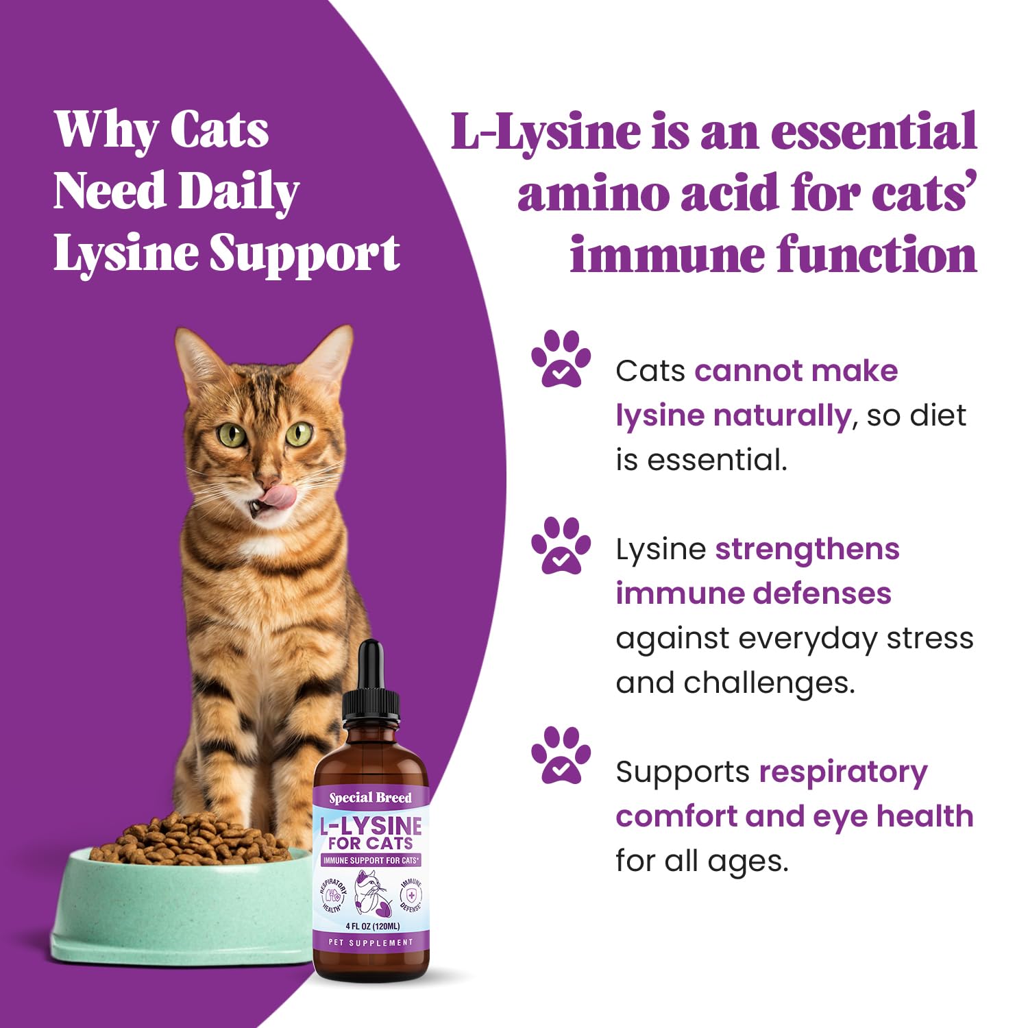 Special Breed L-Lysine chat – flacon pratique pour un usage quotidien.