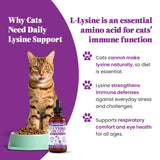 Special Breed L-Lysine chat – flacon pratique pour un usage quotidien.