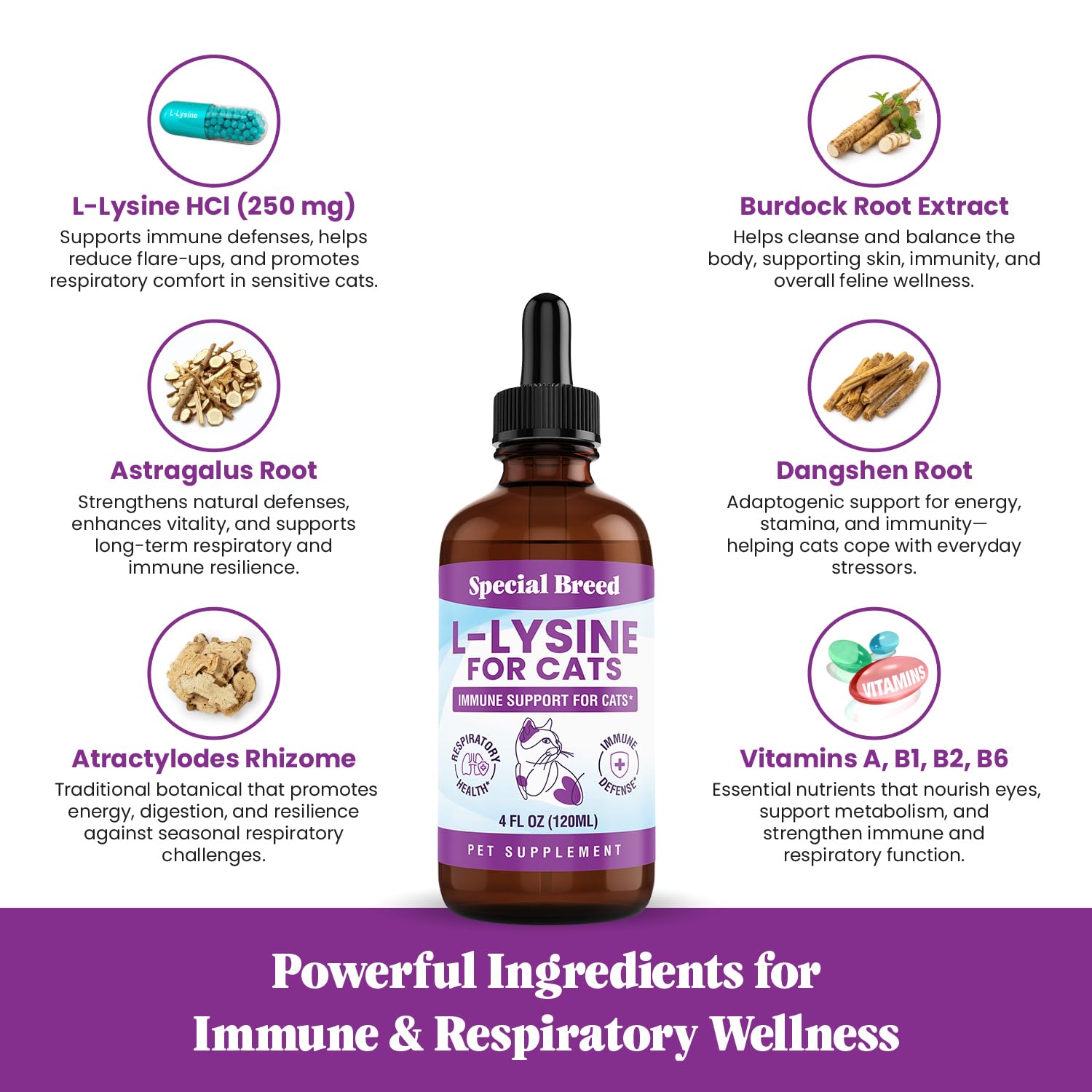 Special Breed L-Lysine chat – dose simple qui s'ajoute à nourriture ou eau.