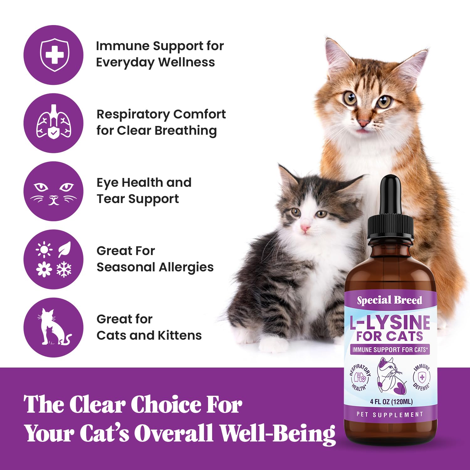 Special Breed L-Lysine chat – soutien digestif et résilience grâce aux extraits botaniques.