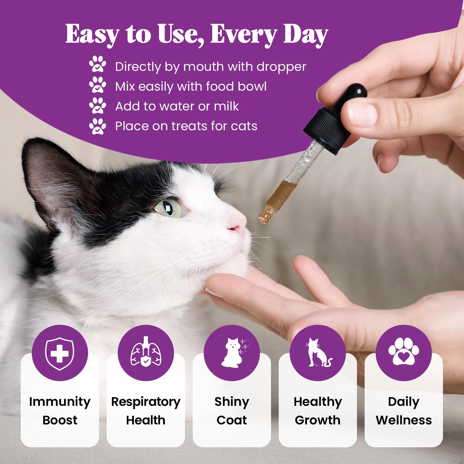 Special Breed L-Lysine chat – yeux sains grâce aux vitamines A/B1/B2/B6.