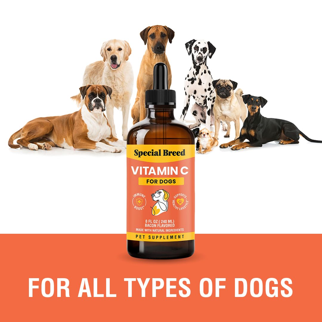 Special Breed Vitamine C pour chiens, administration facile dans la routine quotidienne.