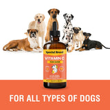 Special Breed Vitamine C pour chiens, administration facile dans la routine quotidienne.