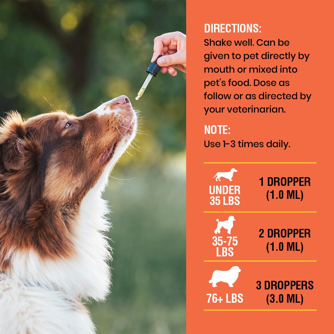 Special Breed Vitamine C pour chiens, fabriqué aux États‑Unis avec contrôle qualité.