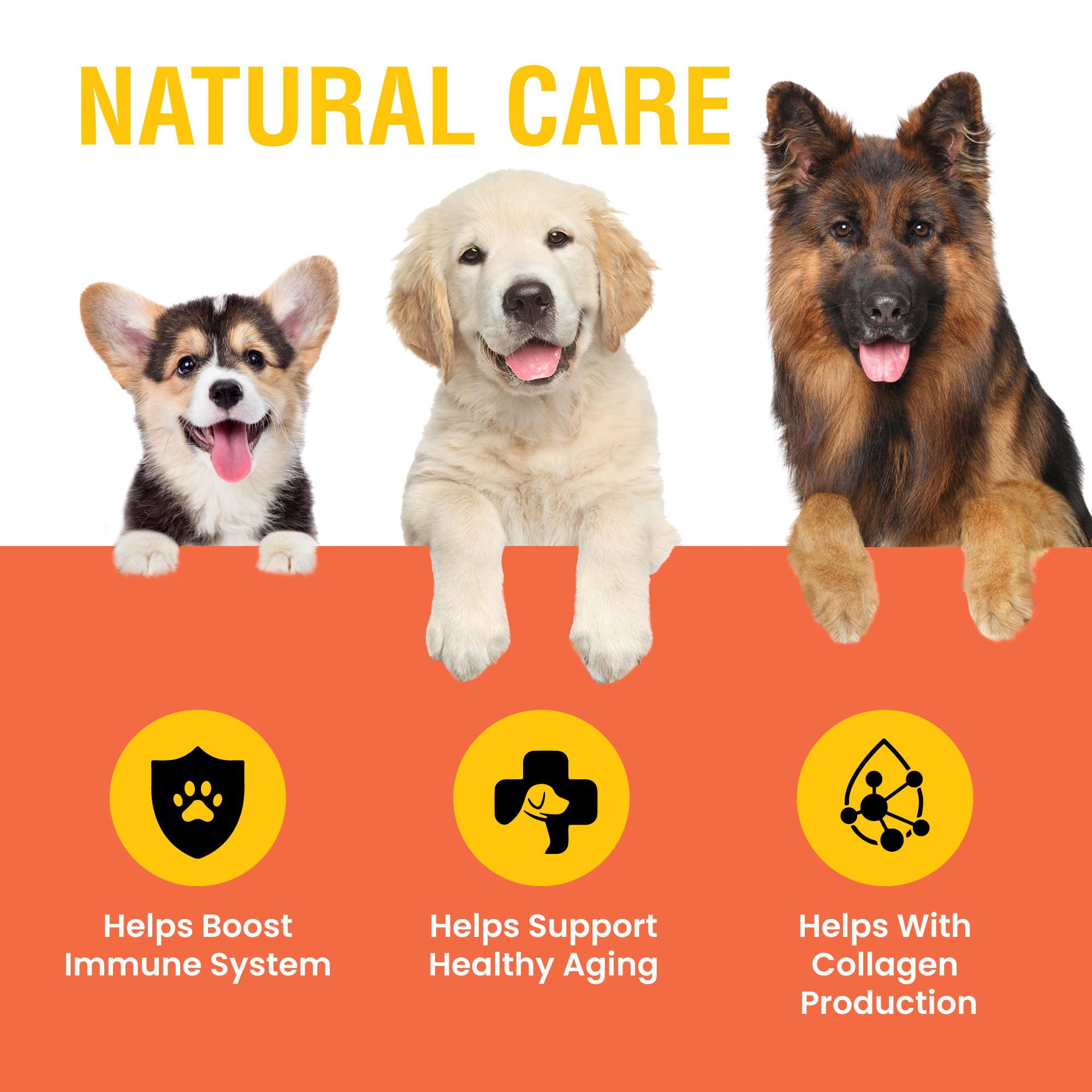 Special Breed Vitamine C pour chiens, saveur bacon, facile à accepter pour les chiens.