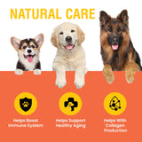 Special Breed Vitamine C pour chiens, saveur bacon, facile à accepter pour les chiens.