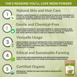 SPICY ORGANIC Neem Powder utilisée dans un masque capillaire pour brillance.