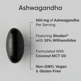 Gros plan sur les gélules Ashwagandha, concentration élevée et absorption possible