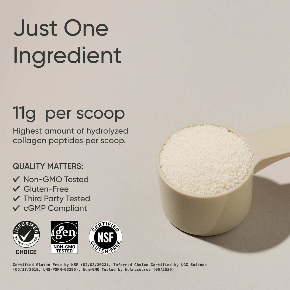 Sports Research Collagen Peptides – Poudre mélangée parfaite pour smoothies équilibrés.