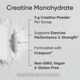 Sports Research Creapure Creatine Monohydrate – shaker prêt au mélange rapide.