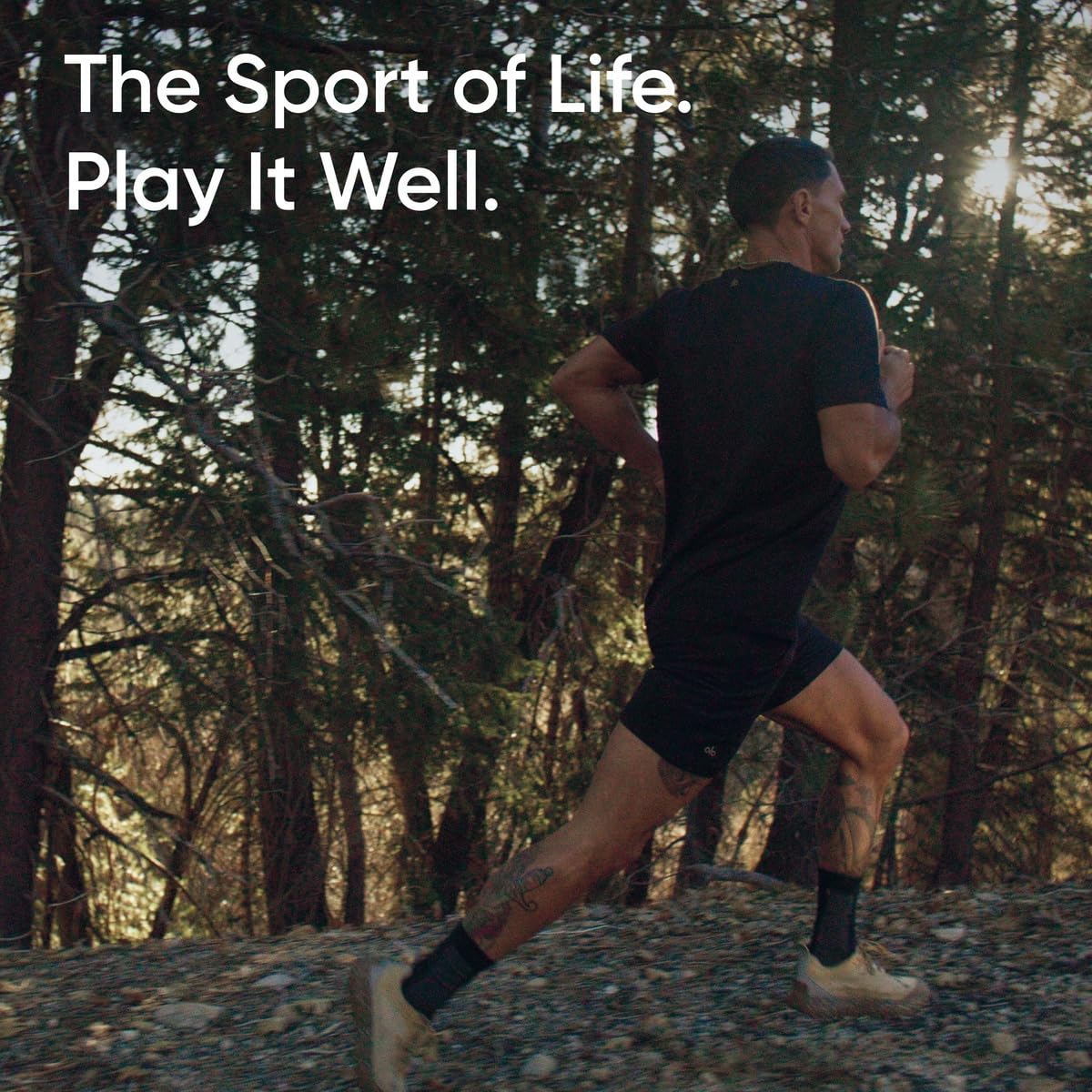 Sports Research MCThuile végan et sans gluten pour tous les régimes