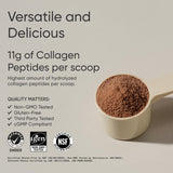 Sports Research Poudre chocolat noir, goût riche pour smoothies et cafés.