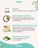 SprinJene: gros plan sur la menthe naturelle pour une haleine fraîche.