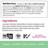 Sprout Living Colorfuel – fruits bio cranberry Raspberry Goji riches en saveur