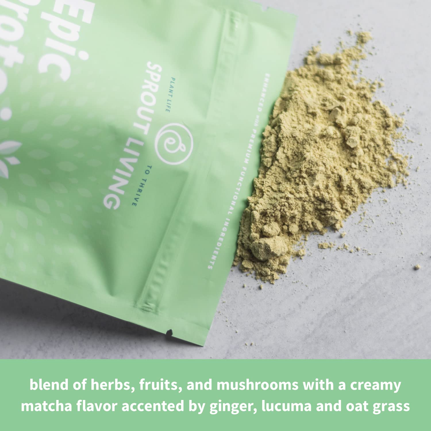 Nootropiques Ashwaganda et crinière de lion dans Sprout Living Epic Protein.