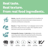 Protéine végétale complète Sprout Living Epic Protein pour diverses habitudes.