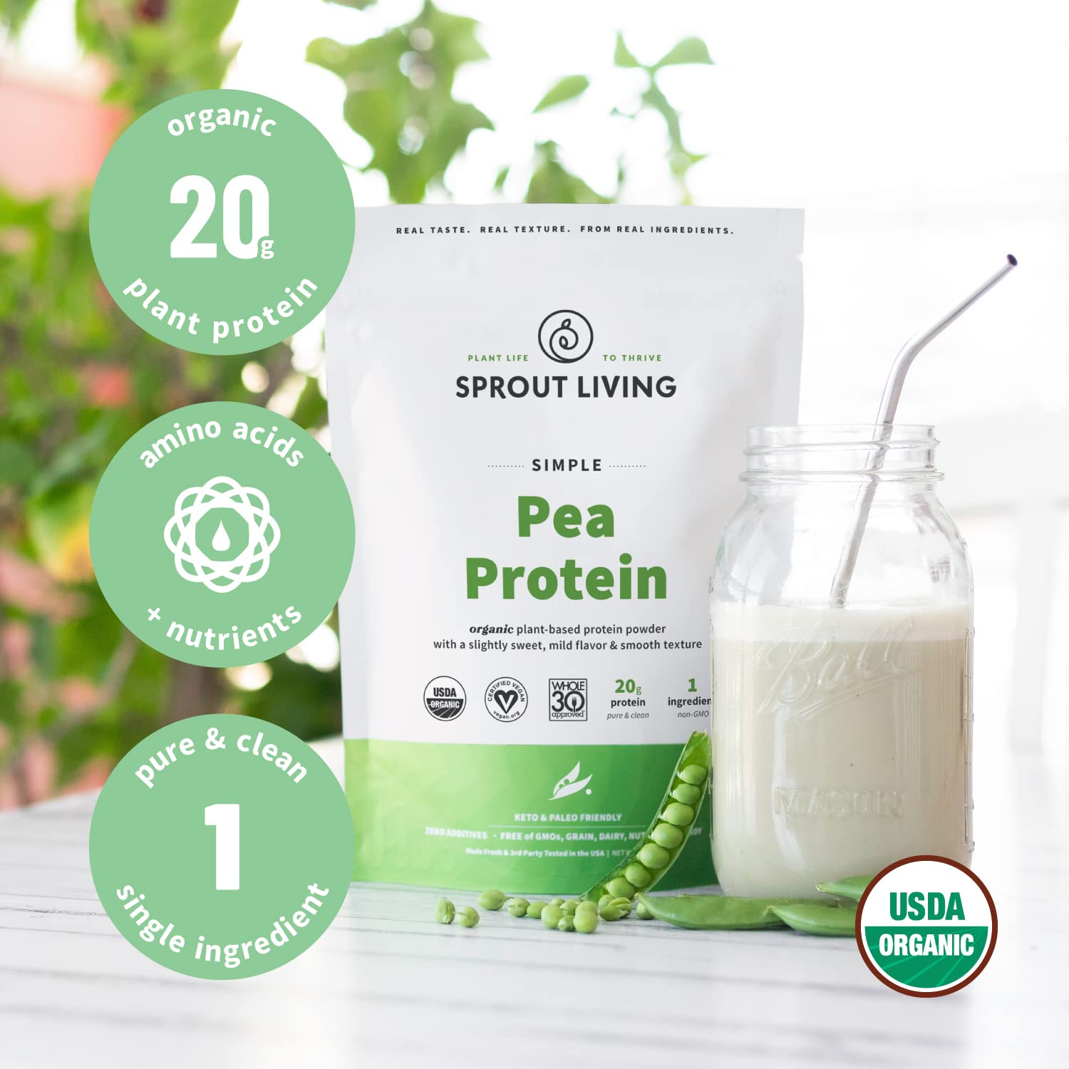 Ingrédients non OGM et sans produits laitiers dans Sprout Living Protéine Pois