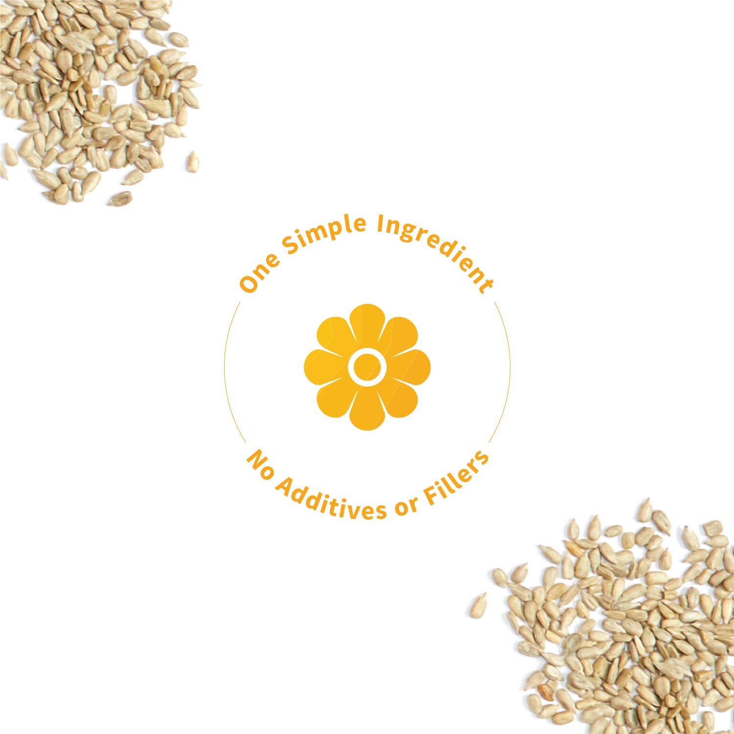 Sprout Living Protéine Tournesol: idéal pour un petit-déjeuner rapide et équilibré