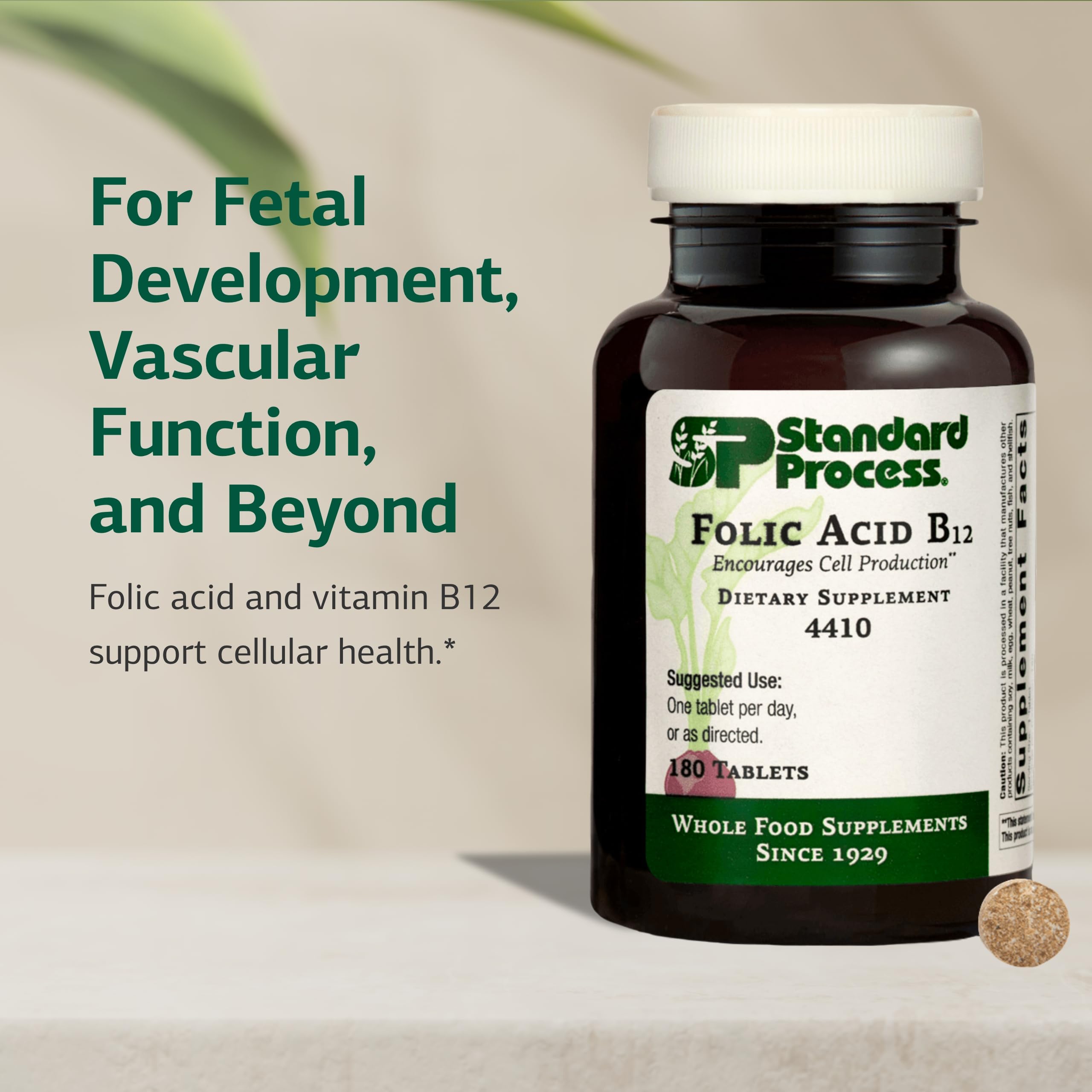 Standard Process Acide folique B12 – gros plan sur le comprimé, texture lisse.