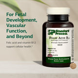 Standard Process Acide folique B12 – gros plan sur le comprimé, texture lisse.