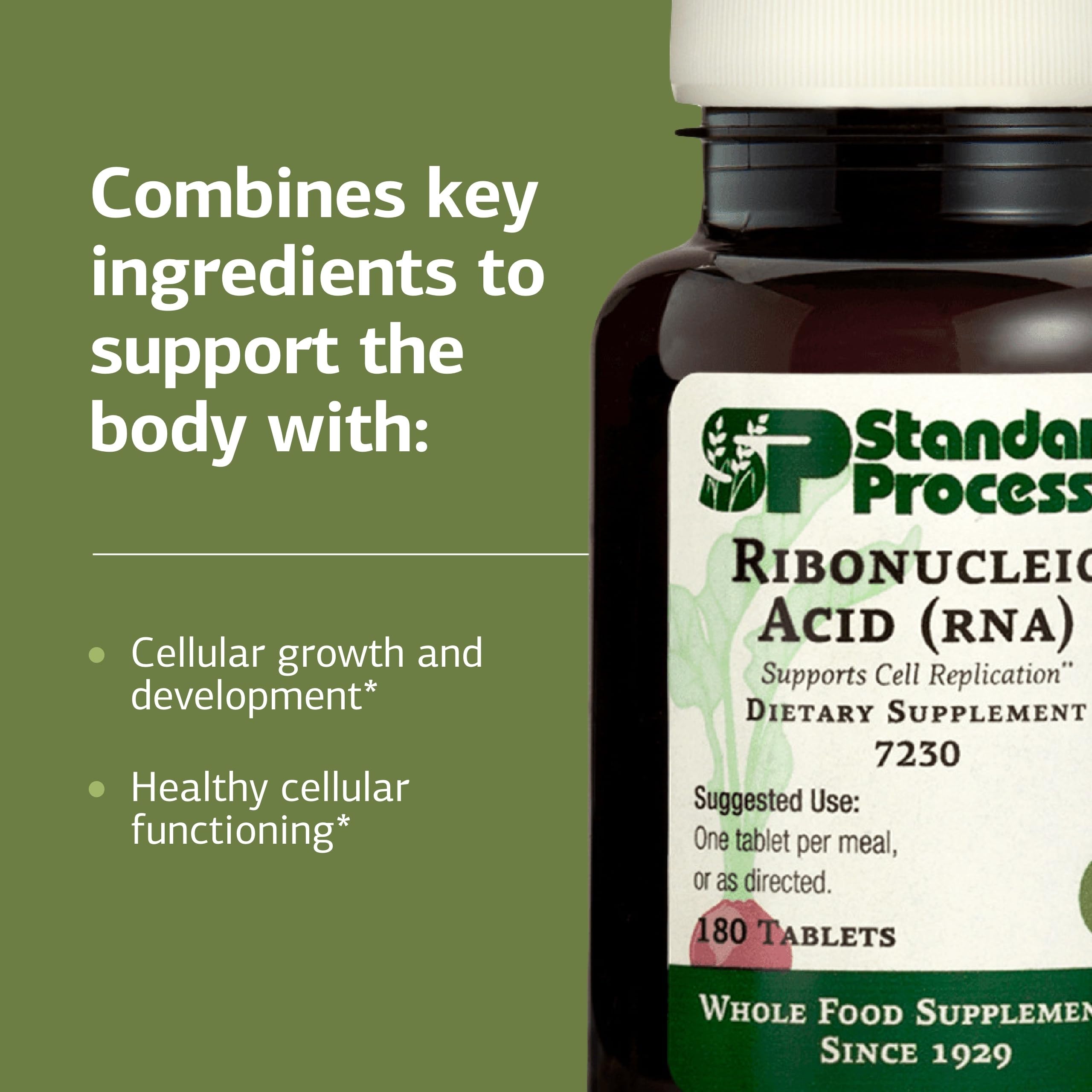 ARN Standard Process : ingrédients naturels pour un usage quotidien respectueux.