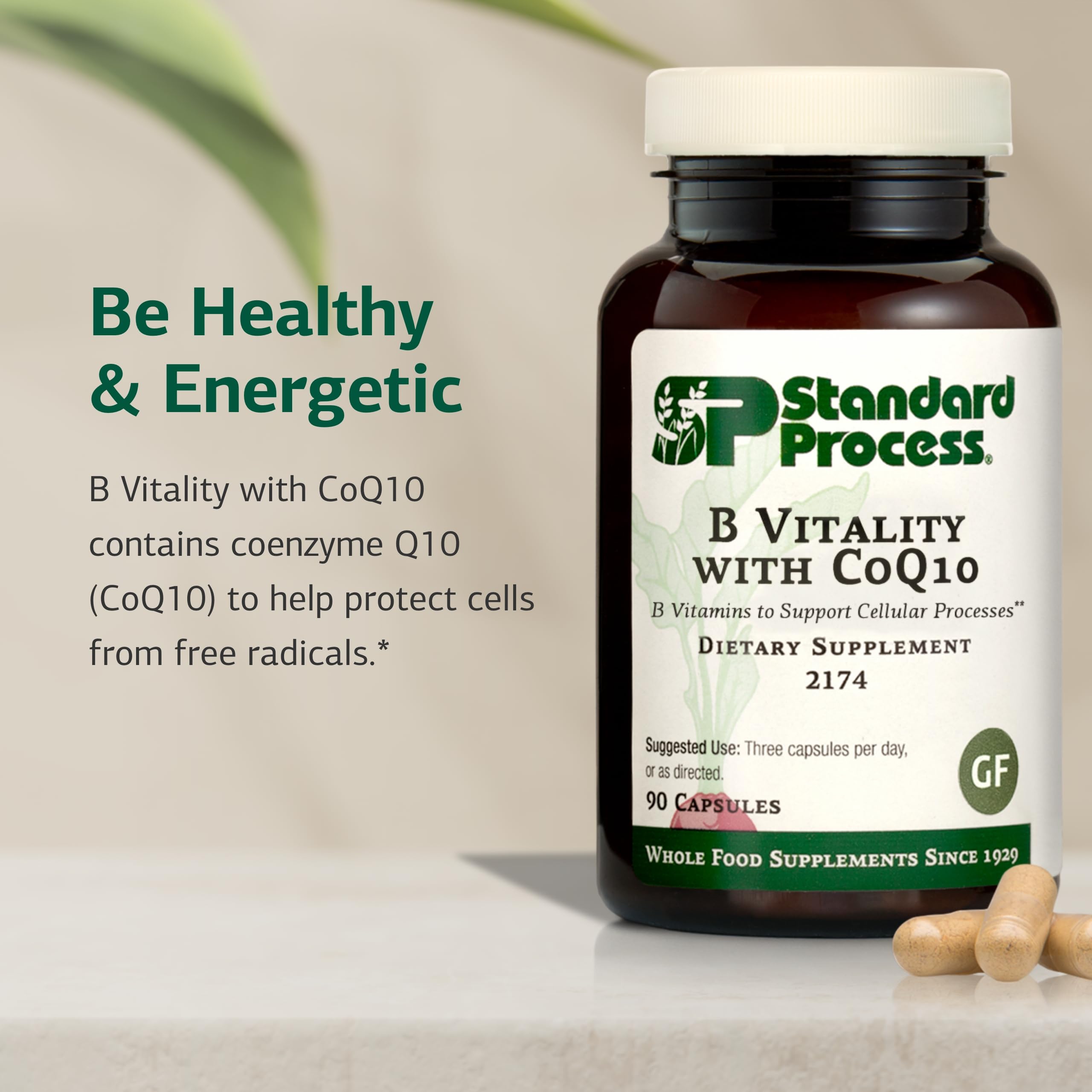 Standard Process B Vitality, capsules de biotine, contribuent au métabolisme des macronutriments.