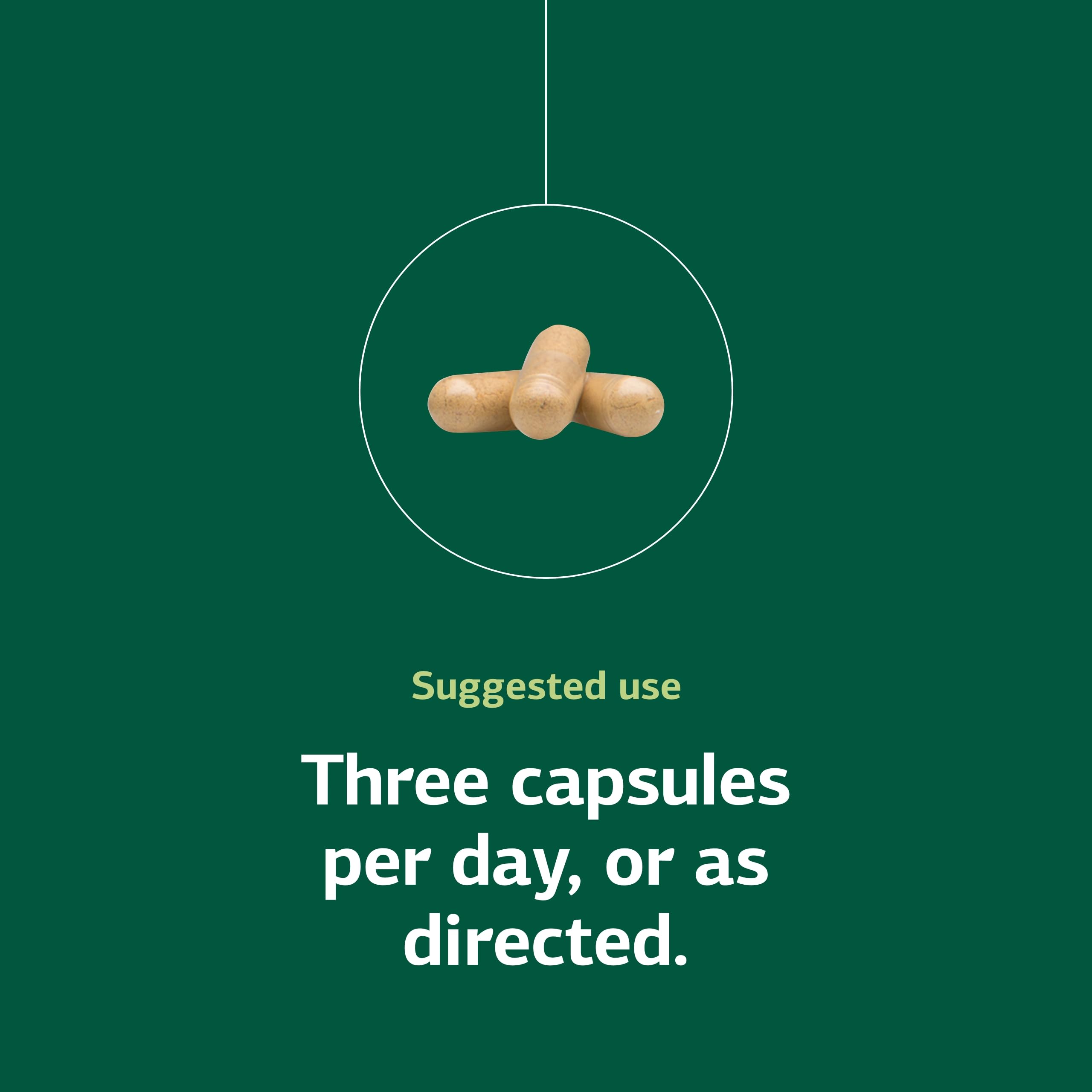 Standard Process B Vitality, capsules véganes sans gluten, adaptées à divers régimes.