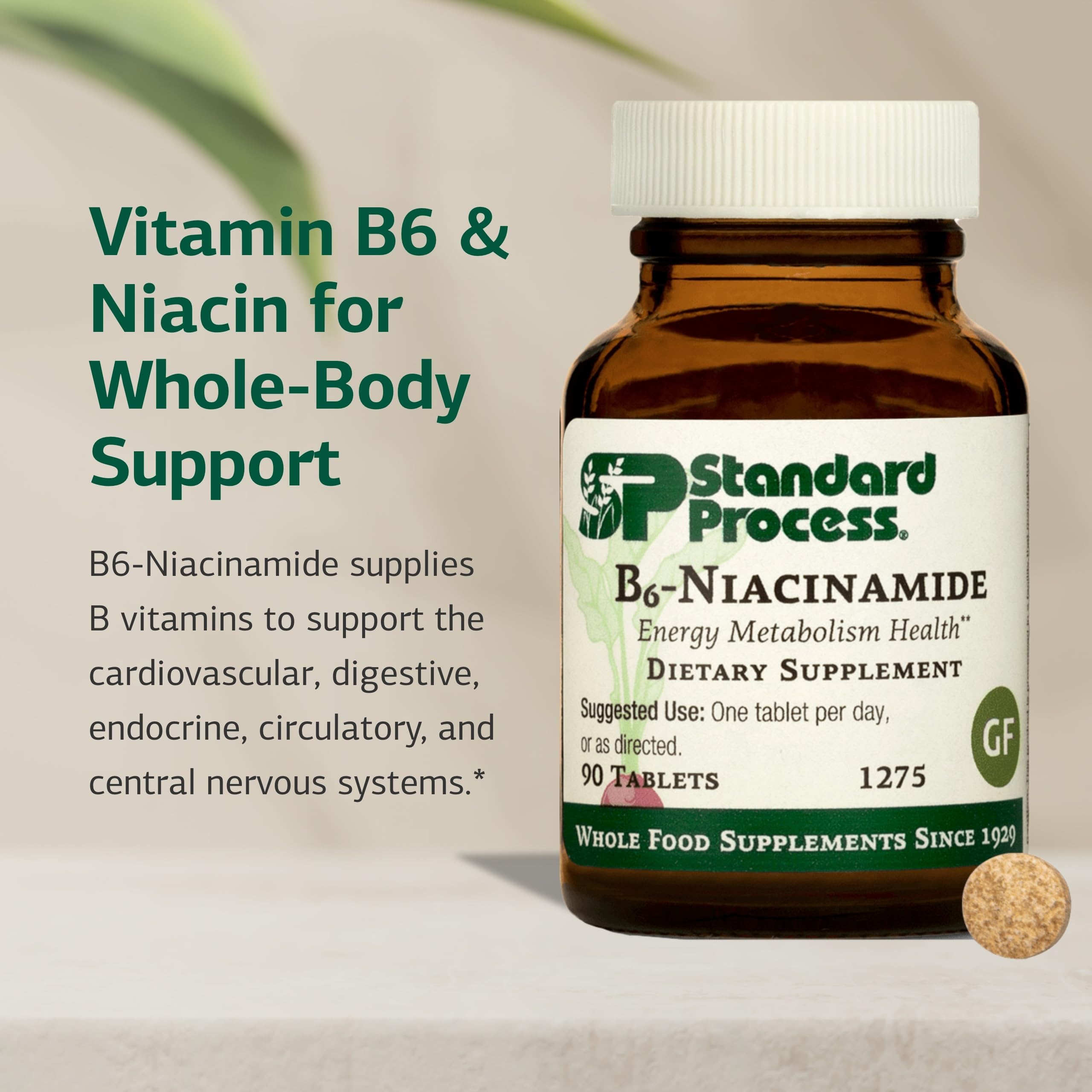 Standard Process B6-Niacinamide étiquette lisible et ingrédients clés.