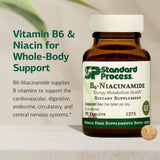 Standard Process B6-Niacinamide étiquette lisible et ingrédients clés.