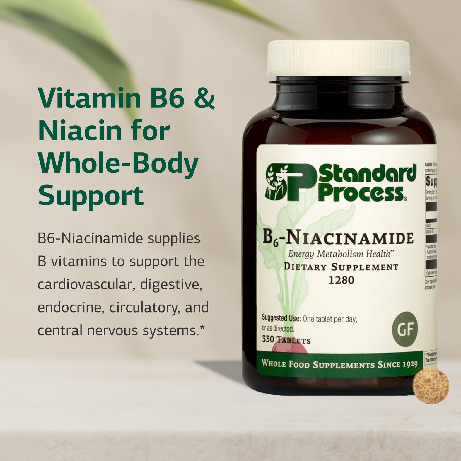 Standard Process B6 Niacinamide – capsule: soutien possible du système cardio-vasculaire et nerveux