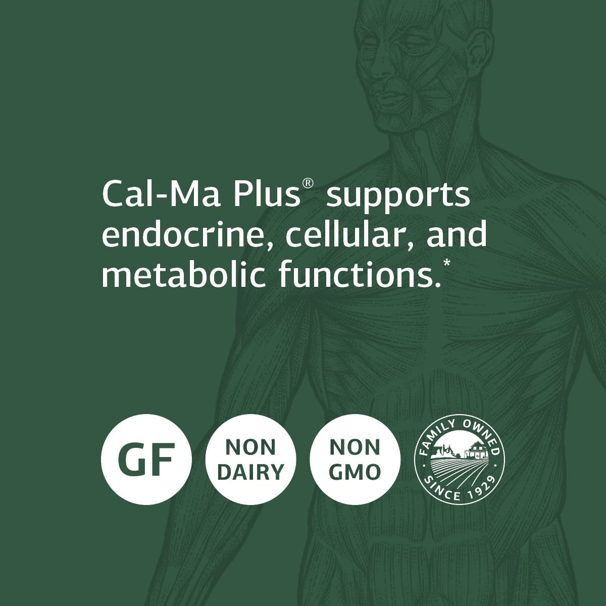 Standard Process Cal-Ma Plus boîte d'emballage : solution pratique pour votre routine nutritionnelle.