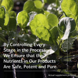 Standard Process Cal-Ma Plus notice : guide d’utilisation pour optimiser l’expérience produit.