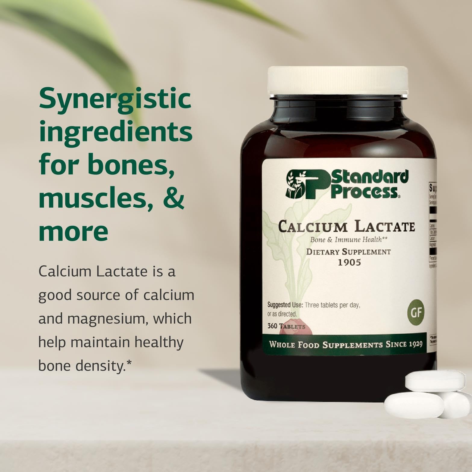 Standard Process Calcium Lactate ingrédients riches en calcium et magnésium pour une nutrition minérale.