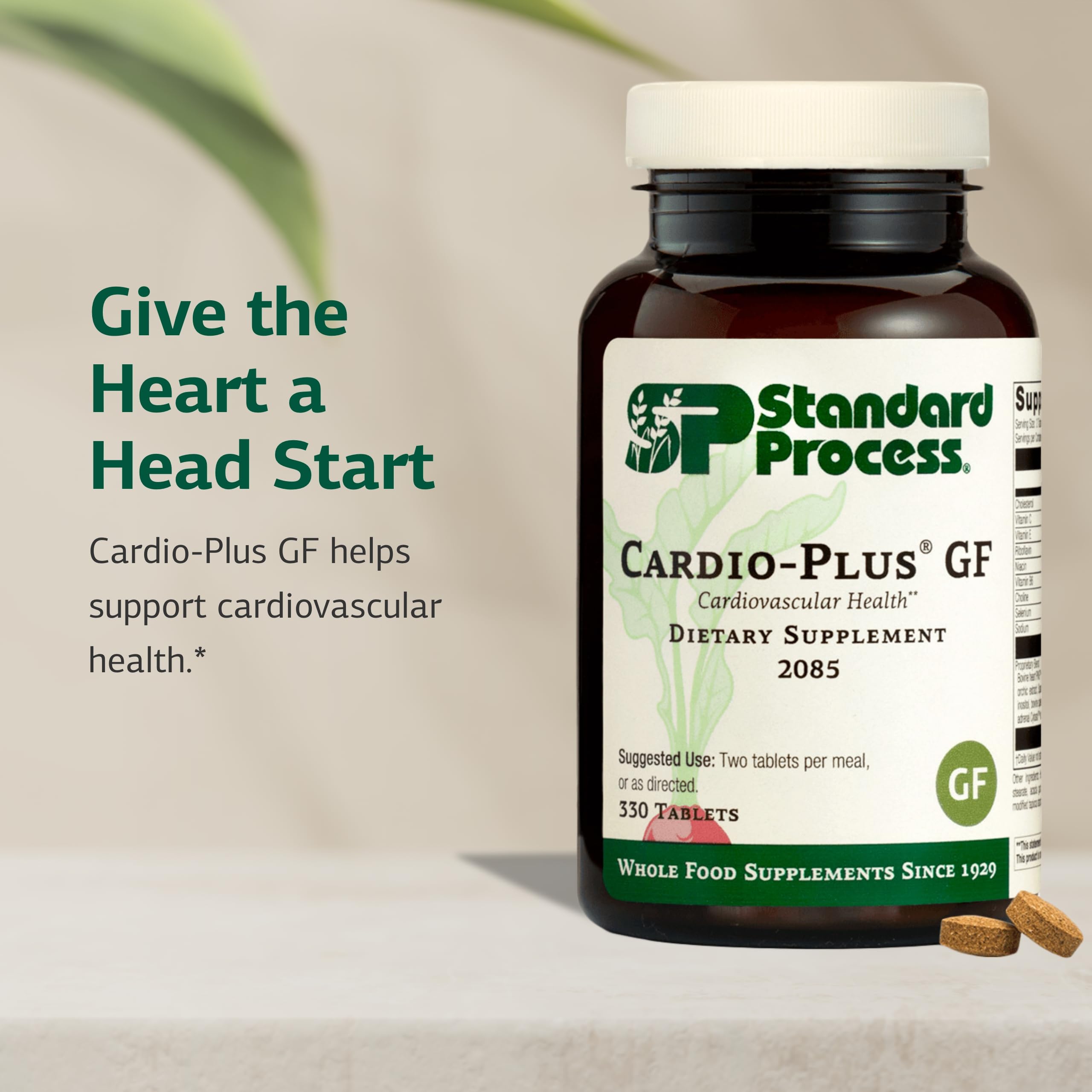 Standard Process Cardio-Plus GF – comprimés faciles à avaler pour le soutien cardiovasculaire.