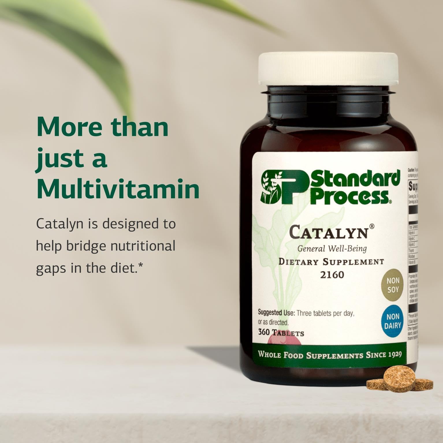 Catalyn Standard Process: etiquette-produit affichant les nutriments clés et les usages.
