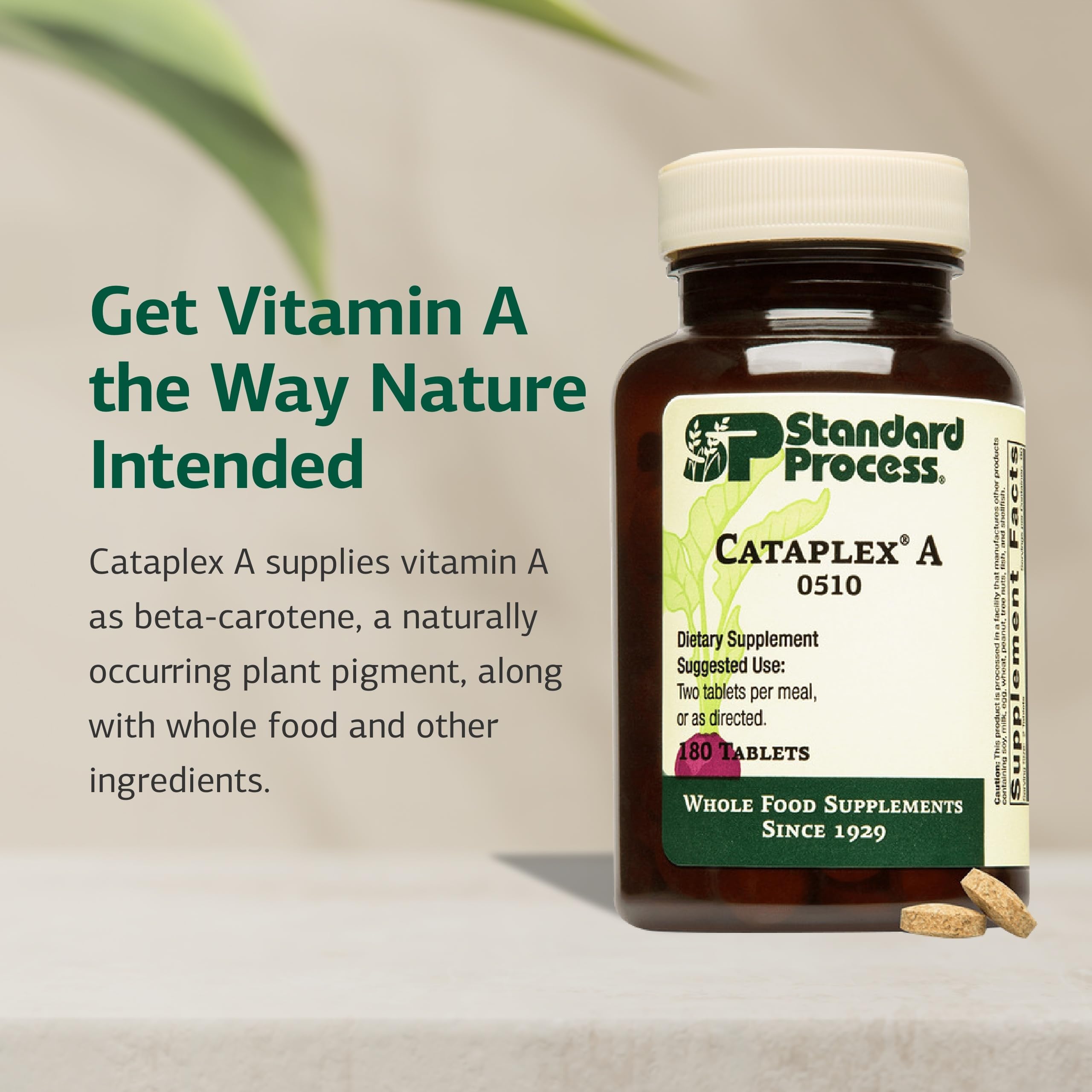 Cataplex A présente les muqueuses saines et le soutien des surfaces corporelles.