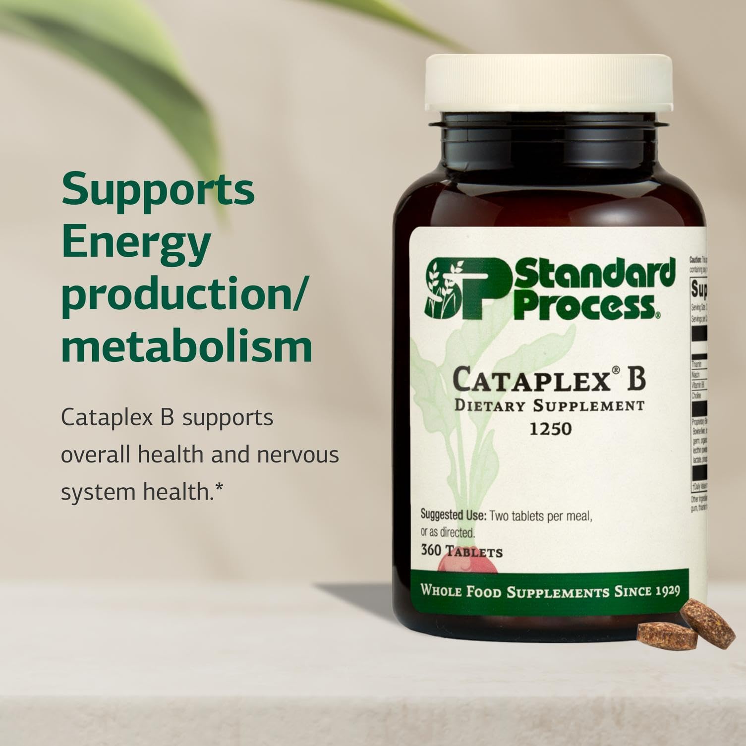 Standard Process Cataplex B: tablettes compactes faciles à avaler.