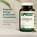 Standard Process Cataplex B: tablettes compactes faciles à avaler.