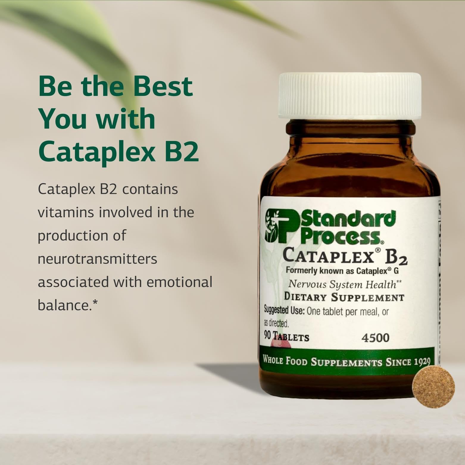 Cataplex B2 Standard Process – ingrédients clés: calcium lactate et riboflavine