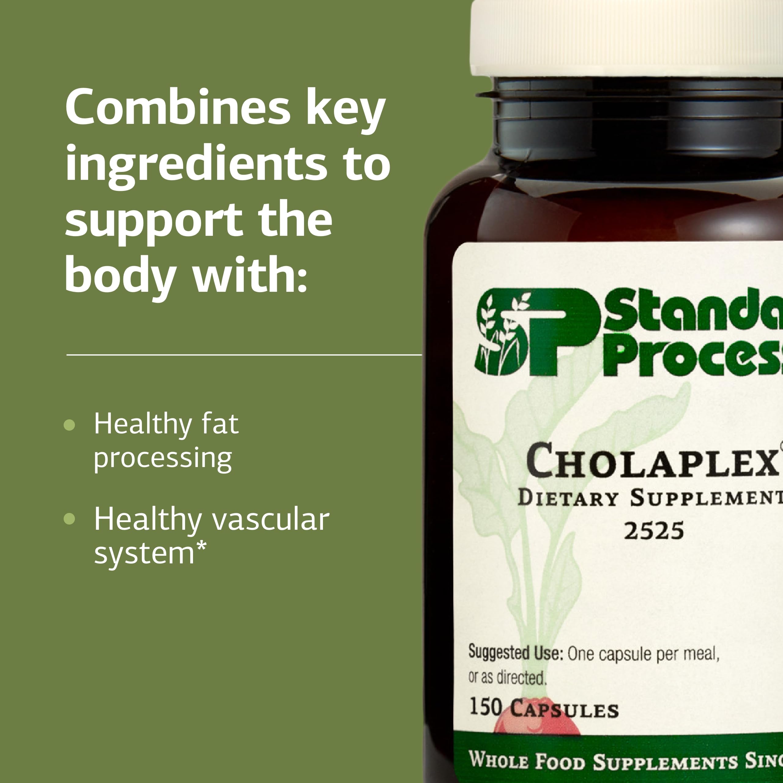 Schéma du système vasculaire avec Cholaplex montrant un soutien éventuel.