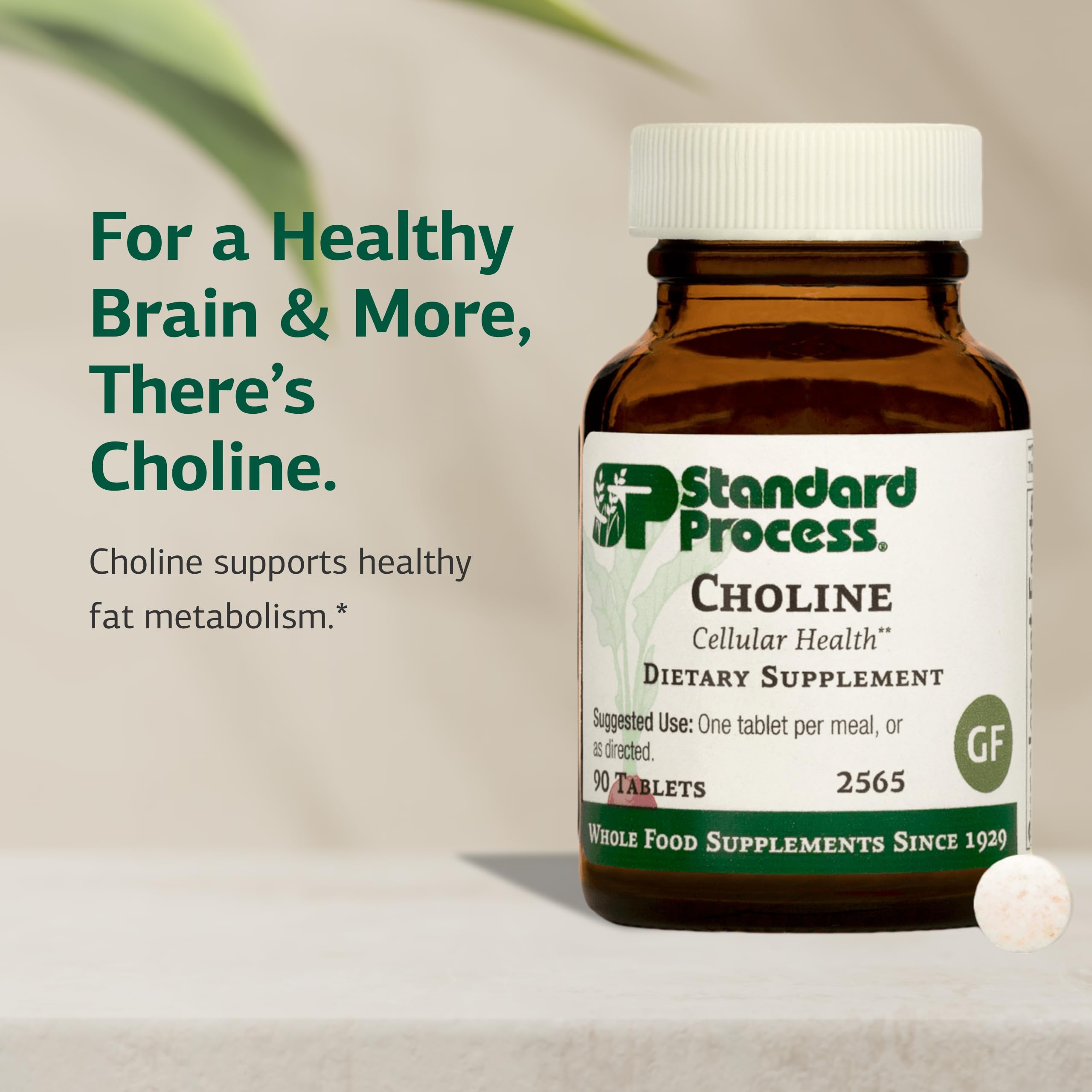 Choline Standard Process soutenant la fonction hépatique et le métabolisme.