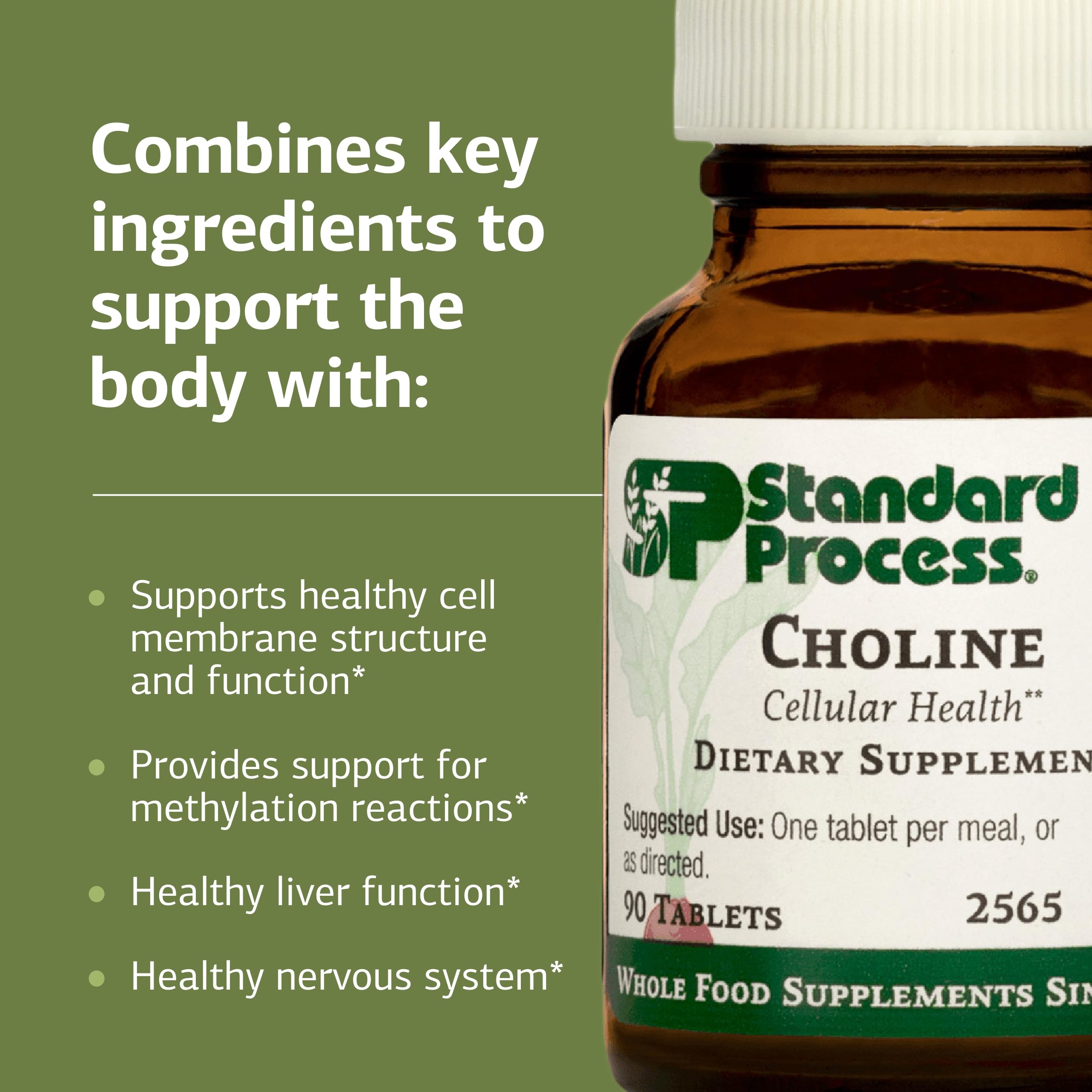 Choline Standard Process favorisant le bon fonctionnement du système nerveux.