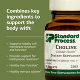 Choline Standard Process favorisant le bon fonctionnement du système nerveux.