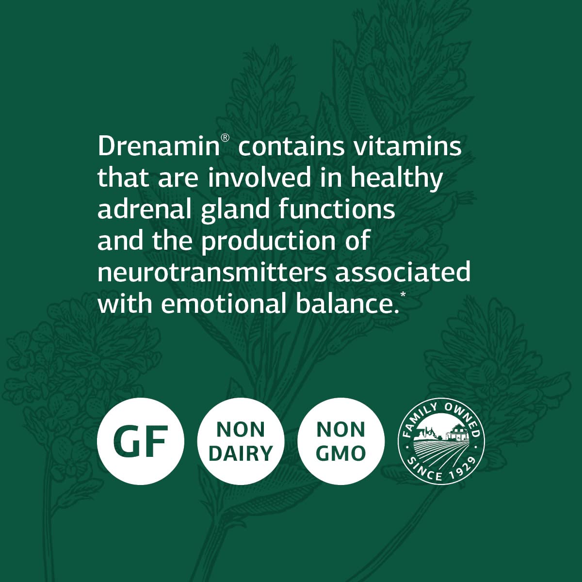 Standard Process Drenamin — étiquette visible, sans gluten, sans lactose et sans soja