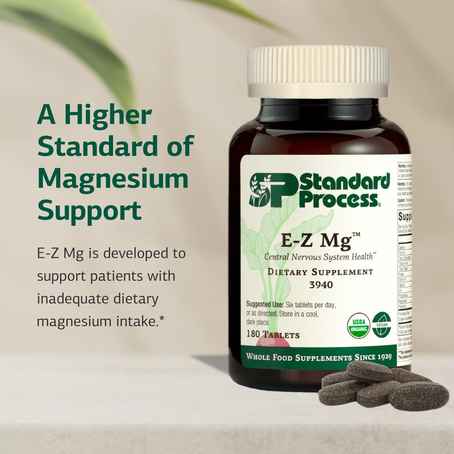 Standard Process E-Z Mg – capsules, forme végétale pour le bien-être nerveux.