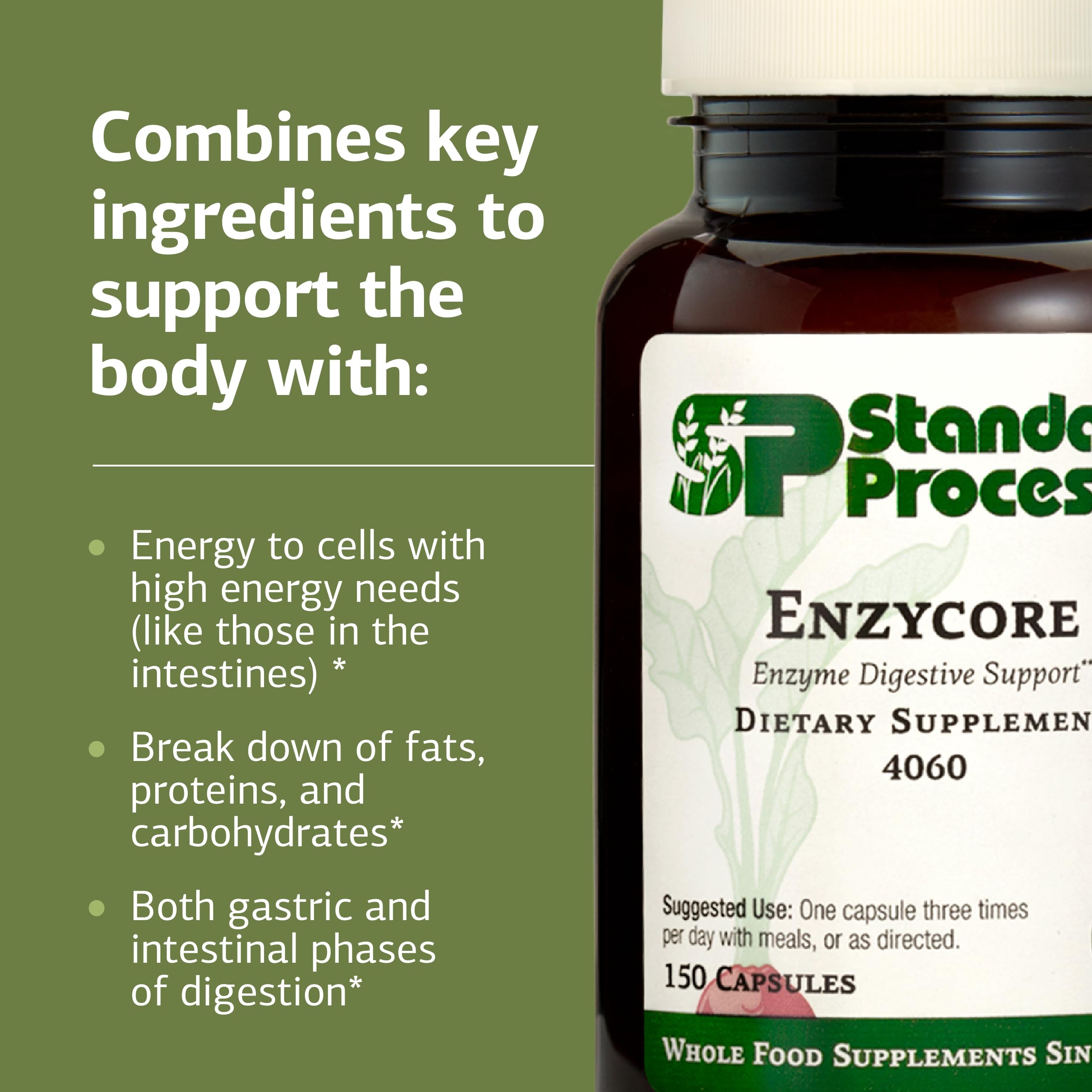 Standard Process Enzycore: capsules ouvertes, démontrant la texture et le mélange enzymatique.