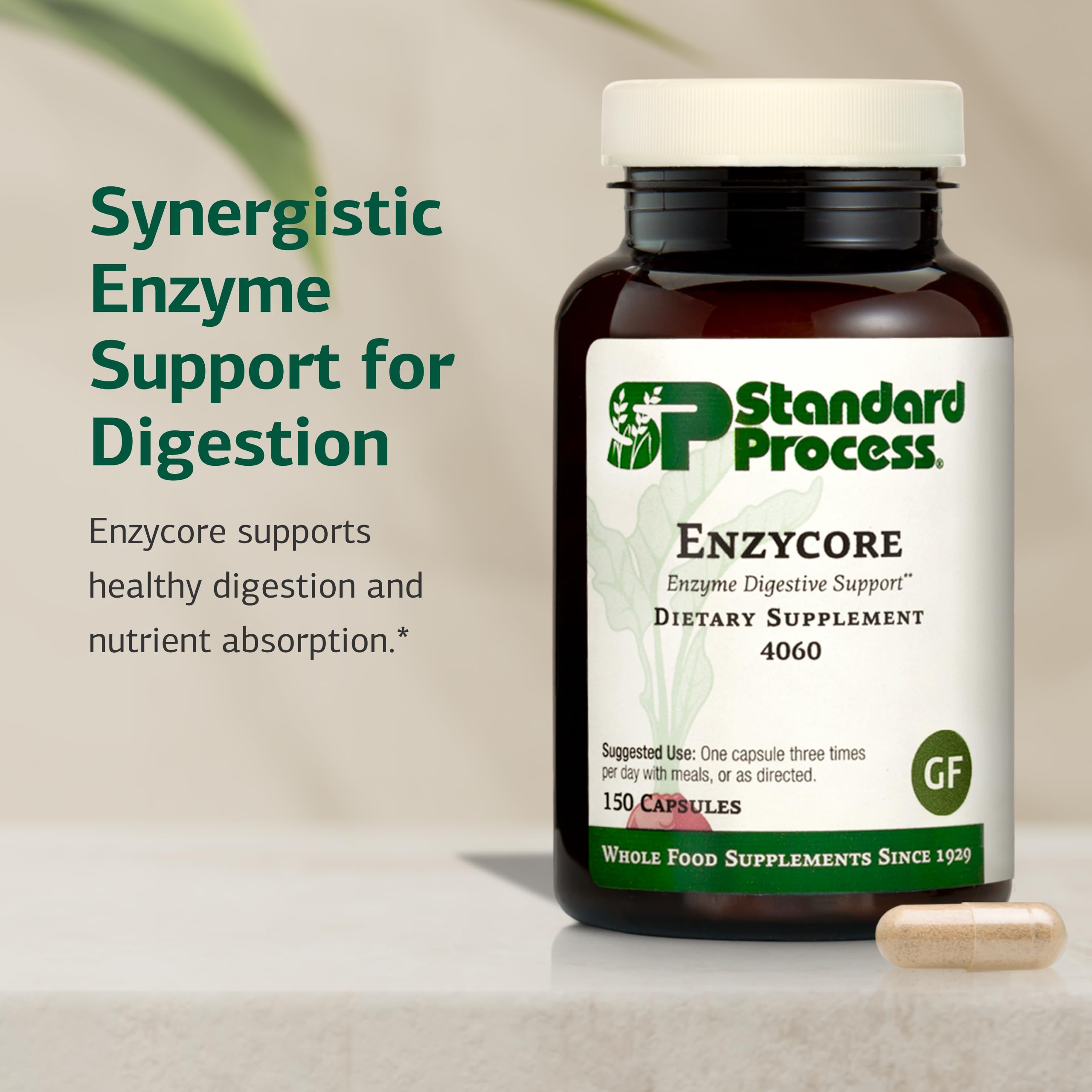Standard Process Enzycore: etiquette marque, garantissant authenticité et traçabilité du produit.